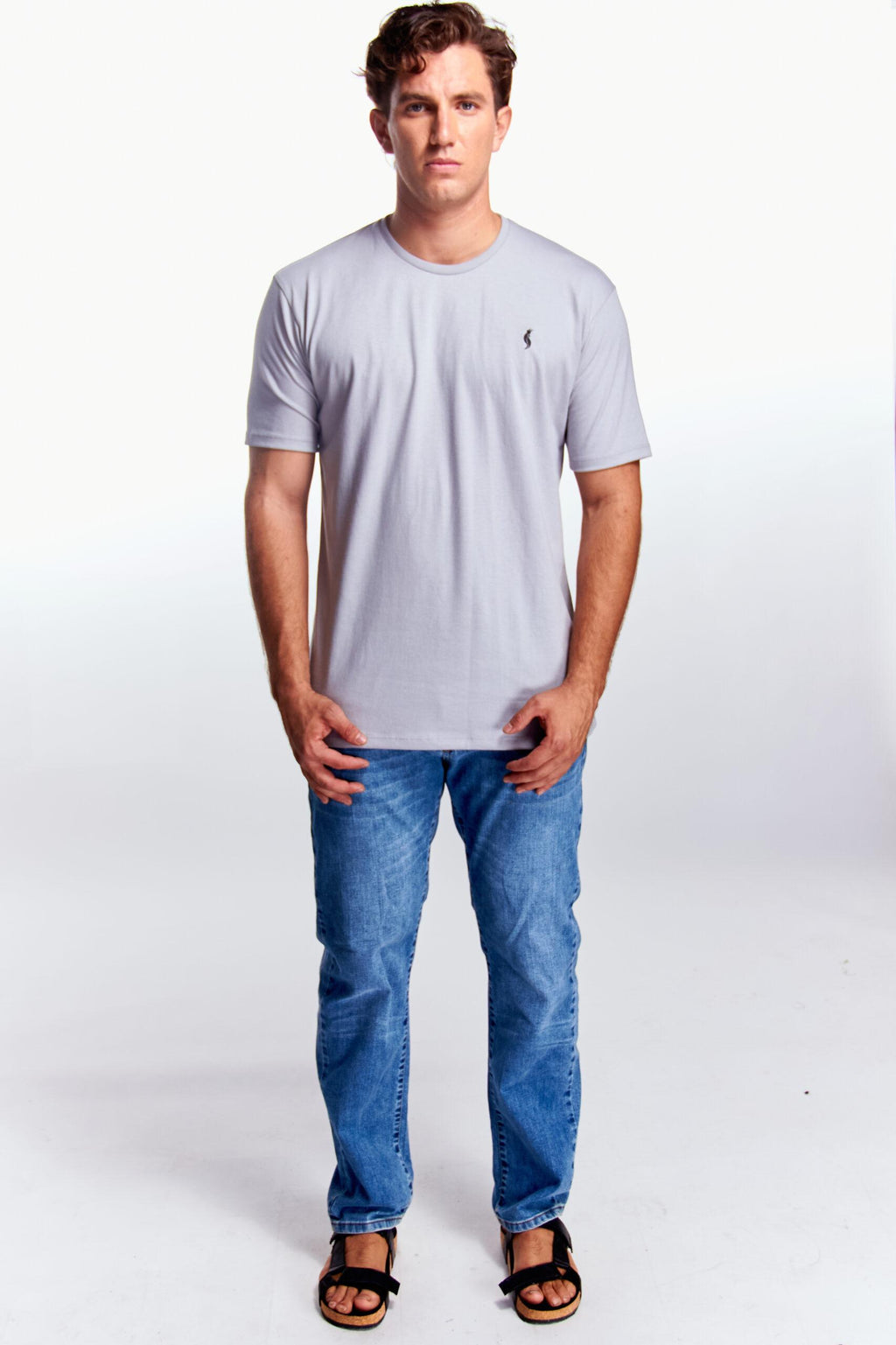 Playera Cuello redondo Básica Gris perla